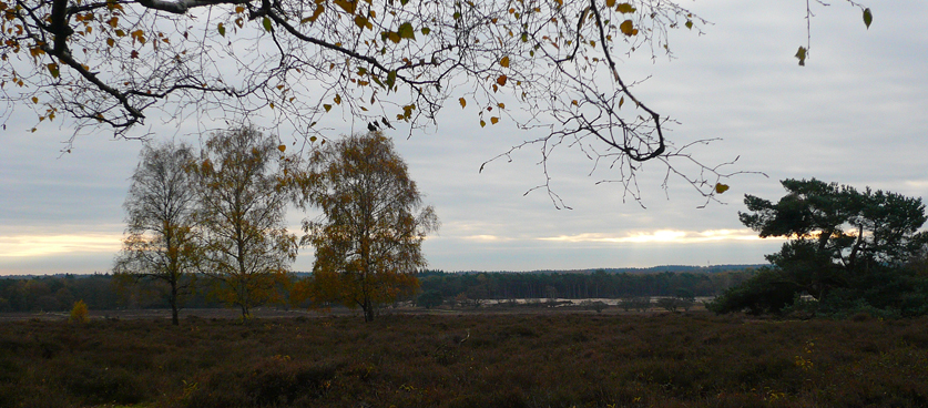 Trekvogelpad – deel 4