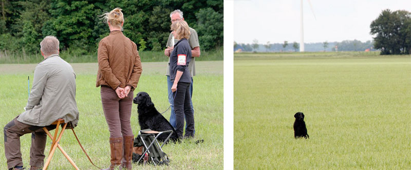 Onderlinge Jachthondenproef Flevoland – 24 mei 2014