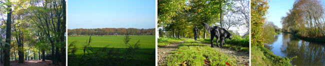 SdC Maarn – Wijk bij Duurstede (08 nov 2014)