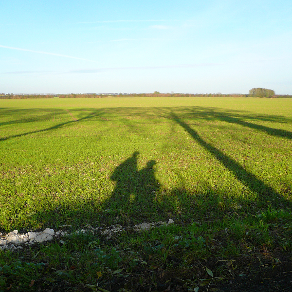 SdC Wijk bij Duurstede – Tiel (09 nov 2014)