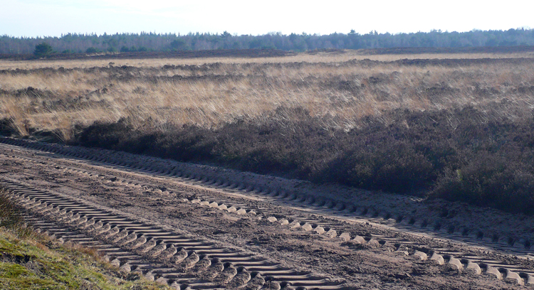 Trekvogelpad – deel 6