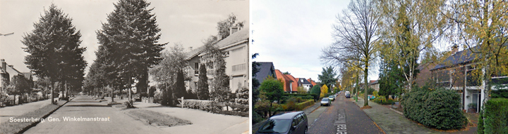 Langs het tuinpad van mijn vader