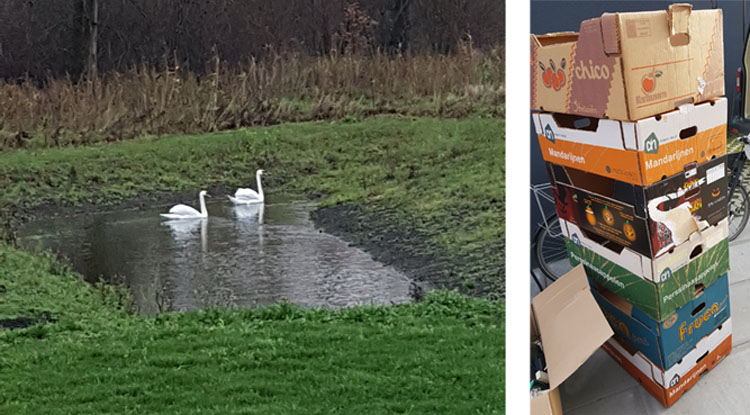 De laatste maand en de laatste dozen